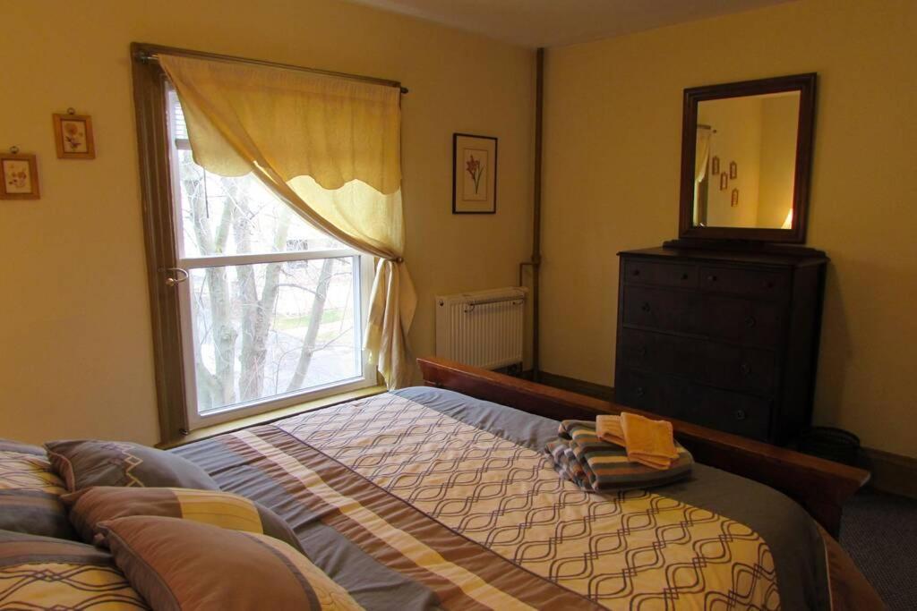 Great Gorge Guesthouse - Walk To The Falls, The Casino And All Downtown Restaurants - Across From The Aquarium Niagara Falls Zewnętrze zdjęcie